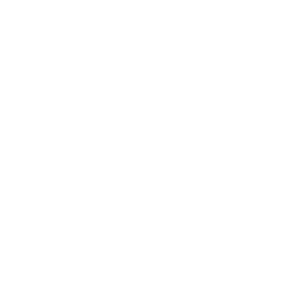 Building Mind Icon