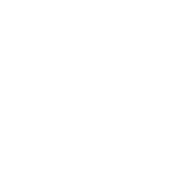 Drone Deliver Hamburger Icon