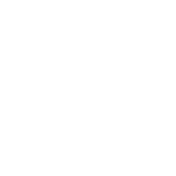 Field Plants Drone Icon