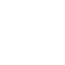 File SHP Icon