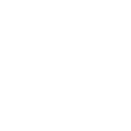 Forest Fire Drone Icon