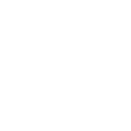 House Roof Drone Icon