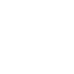 House Sold Checkmark Drone Icon