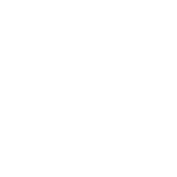 LiDAR Drone Icon