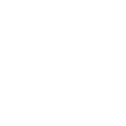 Marker Drone Orbit Icon