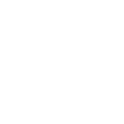 Money Stack Drone Icon