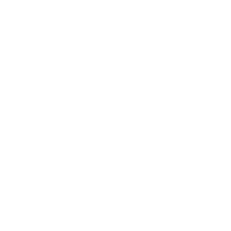 Quadcopter Variant 2 Drone Icon