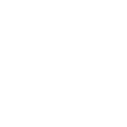 Shopping Cart Drone Checkmark Icon