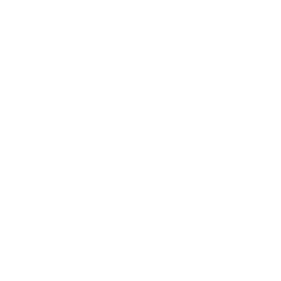 Solar Arrays Drone Icon