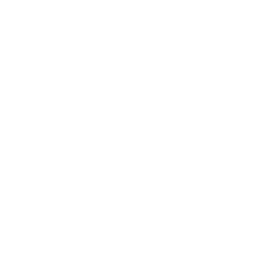 Street Block Law Enforcement Drone Icon
