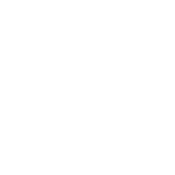 Transmission Towers Drone Icon