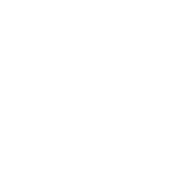 Wedding Drone Icon